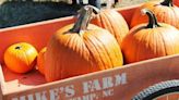 It's Pumpkin Picking Season! Here Are the Best Pumpkin Patches Near You in Every State
