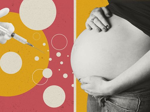 London women are falling pregnant on Ozempic — but no one knows if it's safe yet