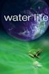 Water Life