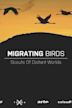 Migrating Birds - Scouts of Distant Worlds