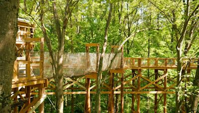 New treetop canopy walk opens at Blacklick Woods Metro Park