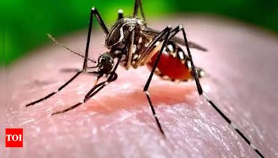 Five Pregnant Women and Two Others Test Positive for Zika in Pune | Pune News - Times of India