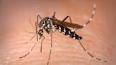 Mosquito control treatments for West Nile virus scheduled for east Coachella Valley