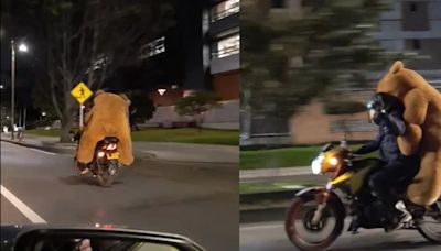 Oso parrillero se hace viral tras ser visto paseándose por las calles de Bogotá