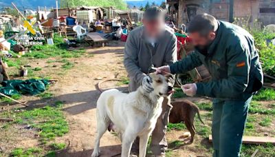 Investigado un hombre de 54 años por un delito de abandono de animales domésticos en Albelda de Iregua