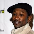 Joe Torry