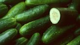 Cucumbers recalled in 14 states due to salmonella risk