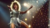 FOTOS | La formidable carrera de Tina Turner, la icónica reina del rock and roll