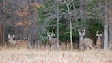 Like any hunt, deer camp memories last a lifetime