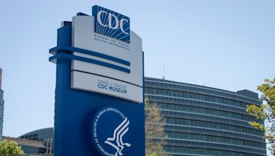 CDC warns of increased risk of dengue virus in US