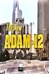 New Adam-12