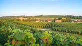 How to Spend a Perfect Weekend in France’s Champagne Region