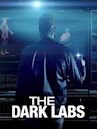 The Dark Labs