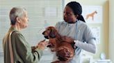 Maryland college hopes to become 2nd HBCU in nation to train veterinarians