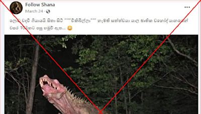 Manipulated images show imaginary creature, not 'extinct animal' found in Sri Lanka