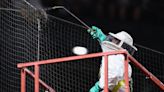 Bee swarm delays Dodgers-Diamondbacks game