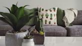 How To Enhance Your Home Decor With Indoor Plants