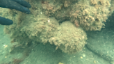 Researchers unearth "buried secrets" of 1810 shipwreck that killed hundreds