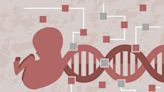 Pregnancy is a genetic battlefield – how conflicts of interest pit mom's and dad's genes against each other