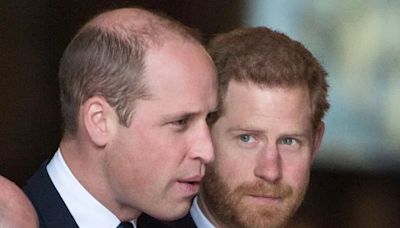 Prince Harry 'wounded deeply' by Prince William role as brothers' feud 'grows'