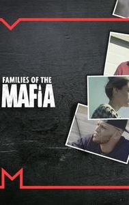 Families of the Mafia