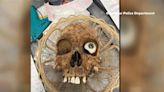Police probe after human skull dropped at Arizona Goodwill