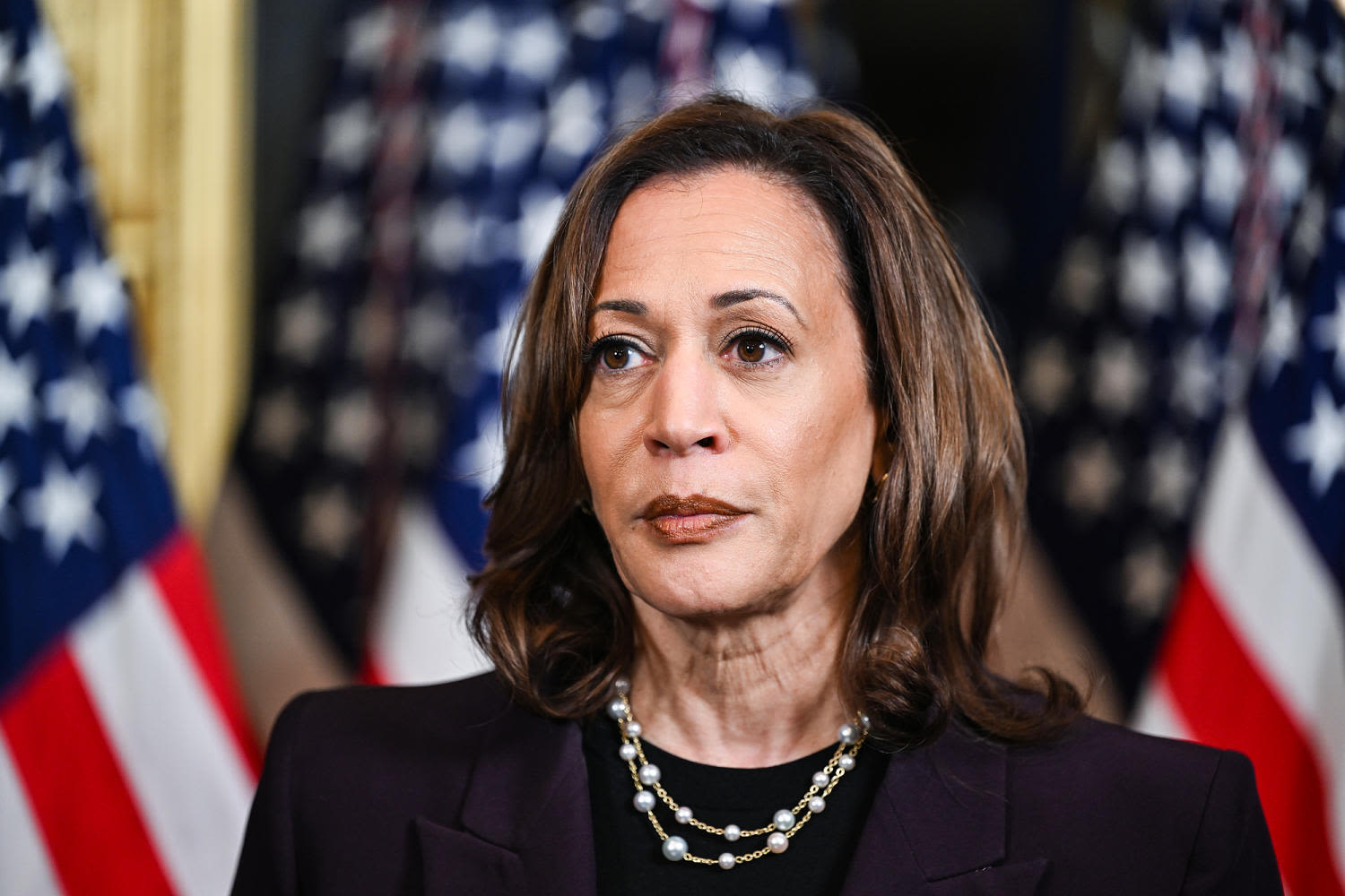 Trump says Harris would be 'like a play toy' to world leaders if elected