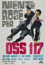 Keine Rosen für OSS 117