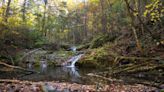 Water safety concerns affect visitor amenities in Shenandoah National Park