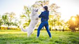 Want a happy and well behaved dog? Trainer reveals the secret (and it's easier than you think!)