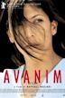 Avanim