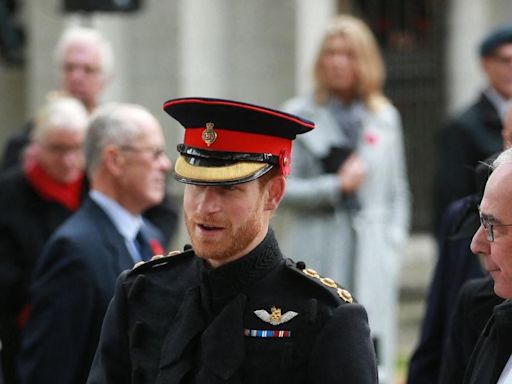 Prince Harry 'Grows Increasingly Unfriendly' as He Struggles to Embrace Life in the U.S. With 'No Practical Skills'