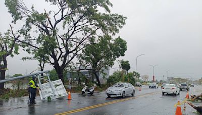 高雄清晨下起大雷雨 湖內區路樹傾倒、電桿斷裂阻車道