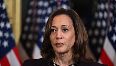 Netflix co-founder's massive Kamala Harris donation sparks boycott calls