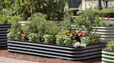 The 10 best raised garden beds to grow vegetables, fruits, herbs and flowers | CNN Underscored