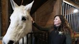 'Therapy dogs on steroids': Hope Meadows helps at-risk youth through horse therapy