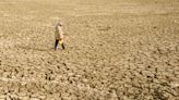 Facing Intense Heat and Dust Storms, Iraq Aims to Plant 5 Million Trees