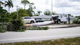Tree falls onto car in North Naples, one person flown to hospital