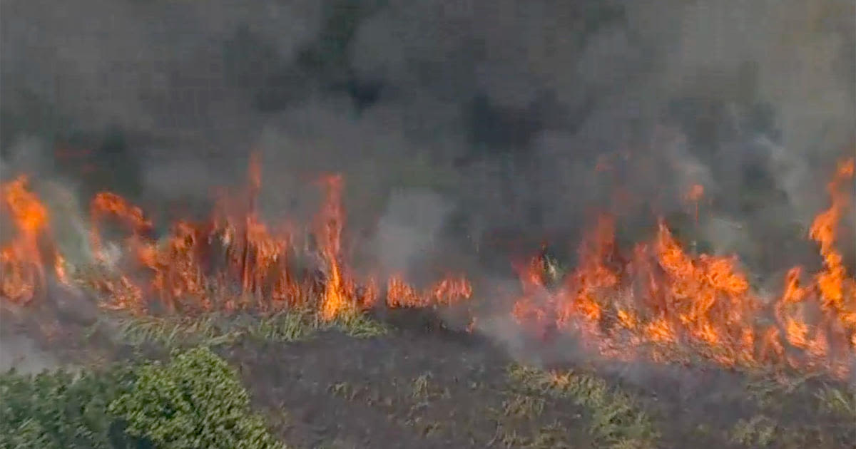 Brush fire in Secaucus impacting N.J. Turnpike traffic, NJ Transit service