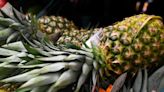Supermarkets ditch pineapple products from Kenyan farms over human rights risk