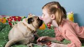 4-Year-Old Birthday Girl Asks for Donations for Pugs, Not Presents for Herself