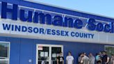 Windsor/Essex County Humane Society suspends public veterinary services