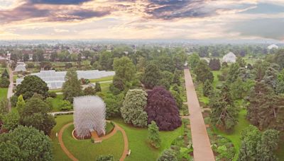 Half of Kew Gardens’ trees may be at risk by 2090 as climate warms – study