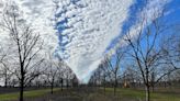 A tougher pecan: Georgia farms explore climate change mitigation