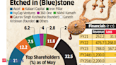 Peak XV, Steadview may fund Bluestone in pre-IPO round of Rs 830 crore