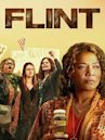 Flint (film)