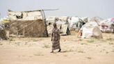 El Consejo de Seguridad de la ONU se muestra preocupado ante la posibilidad de ataque inminente en Darfur Norte