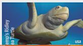 Texas State Aquarium Kemp's Ridley turtle gets her own stamp