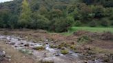 La "brutal" tala que el ecologismo denunció en el río Aller se queda en falta "leve"