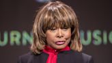 Tina Turner Mourns Death of Her and Late Ex-Husband Ike Turner's Son Ronnie